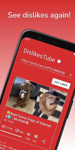 Run android online APK Dislikes Tube - Show dislikes from MyAndroid or emulate Dislikes Tube - Show dislikes using MyAndroid