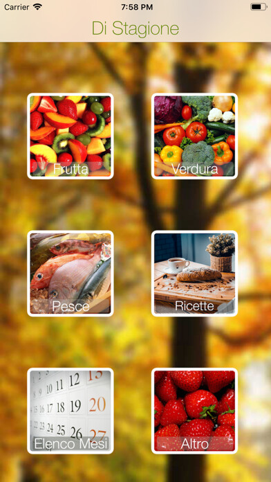 Emulate iPhone app Di Stagione - Frutta e Verdura using MyAndroid Emulate iPhone app Di Stagione - Frutta e Verdura using MyAndroid