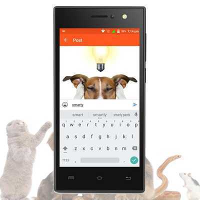Emulate Android APK Diva Eyelashes Produks Emulate Android APK Diva Eyelashes Produks