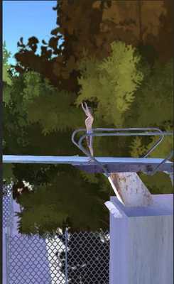 Emulate Android APK Diving pool flip Emulate Android APK Diving pool flip