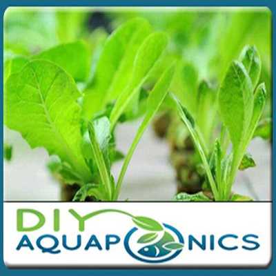Emulate Android APK Diy Best Aquaponics Emulate Android APK Diy Best Aquaponics