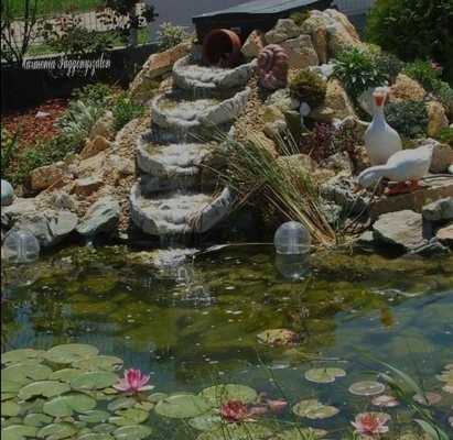 Emulate Android APK DIY Best Pond Design Emulate Android APK DIY Best Pond Design