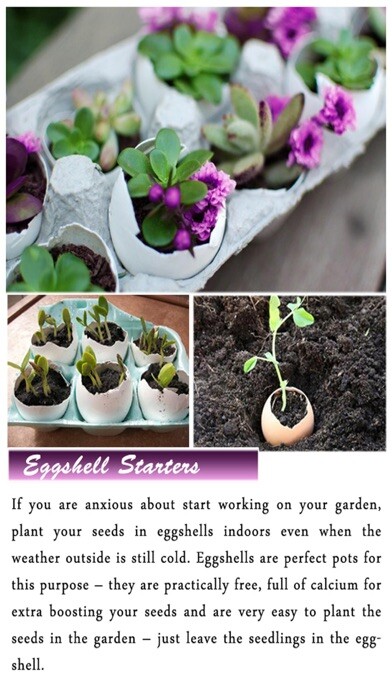 Emulate Android APK DIY Gardening Tips Emulate Android APK DIY Gardening Tips