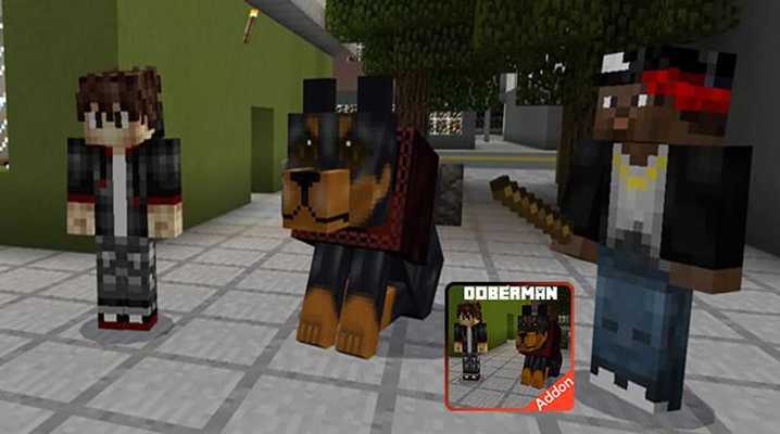 Emulate Android APK Doberman Dog Add-on for Minecraft Emulate Android APK Doberman Dog Add-on for Minecraft