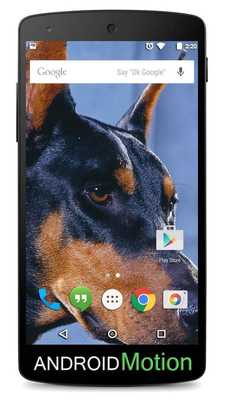 Emulate Android APK Dobermann Background Emulate Android APK Dobermann Background