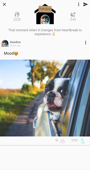 Run android online APK dog.0 from MyAndroid or emulate dog.0 using MyAndroid Run android online APK dog.0 from MyAndroid or emulate dog.0 using MyAndroid