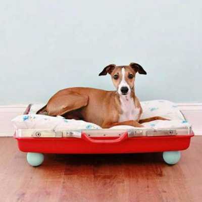 Emulate Android APK Dog Bed Design Ideas