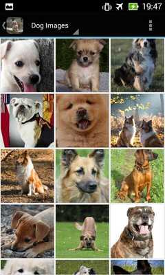Emulate Android APK DogBG: The Dog Wallpapers Emulate Android APK DogBG: The Dog Wallpapers