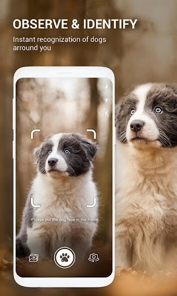 Run android online APK Dog Bread Identifier: Dog Scanner by photo, camera from MyAndroid or emulate Dog Bread Identifier: Dog Scanner by photo, camera using MyAndroid