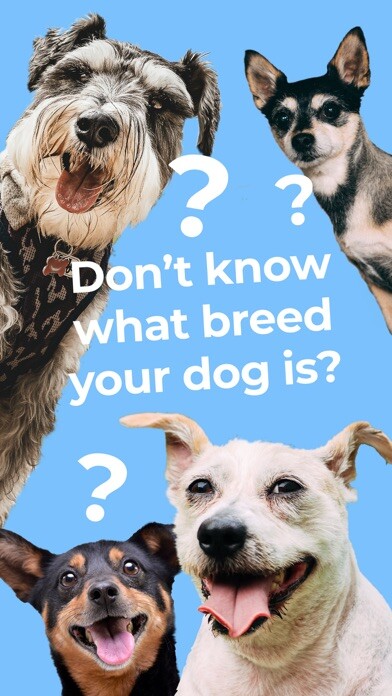 Emulate iPhone app Dog Breed Identifier by Dogo using MyAndroid Emulate iPhone app Dog Breed Identifier by Dogo using MyAndroid