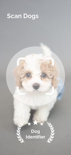 Run android online APK Dog Breed Identifier: Dog Scan from MyAndroid or emulate Dog Breed Identifier: Dog Scan using MyAndroid Run android online APK Dog Breed Identifier: Dog Scan from MyAndroid or emulate Dog Breed Identifier: Dog Scan using MyAndroid
