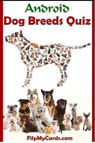 Run android online APK Dog Breed Picture Quiz from MyAndroid or emulate Dog Breed Picture Quiz using MyAndroid Run android online APK Dog Breed Picture Quiz from MyAndroid or emulate Dog Breed Picture Quiz using MyAndroid