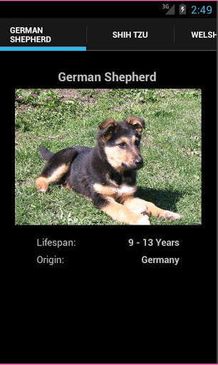 Emulate Android APK Dog Breeds 101