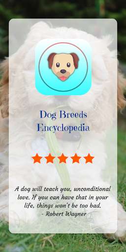 Run android online APK Dog Breeds Encyclopedia: Dog Breeds App from MyAndroid or emulate Dog Breeds Encyclopedia: Dog Breeds App using MyAndroid Run android online APK Dog Breeds Encyclopedia: Dog Breeds App from MyAndroid or emulate Dog Breeds Encyclopedia: Dog Breeds App using MyAndroid
