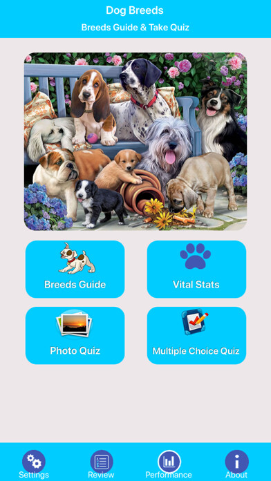 Emulate iPhone app Dog Breeds Guide & Quiz using MyAndroid Emulate iPhone app Dog Breeds Guide & Quiz using MyAndroid