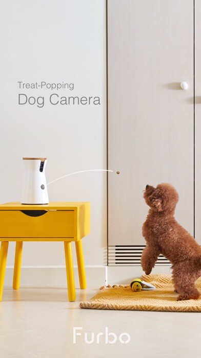 Run android online APK Dog Camera by Tomofun from MyAndroid or emulate Dog Camera by Tomofun using MyAndroid Run android online APK Dog Camera by Tomofun from MyAndroid or emulate Dog Camera by Tomofun using MyAndroid