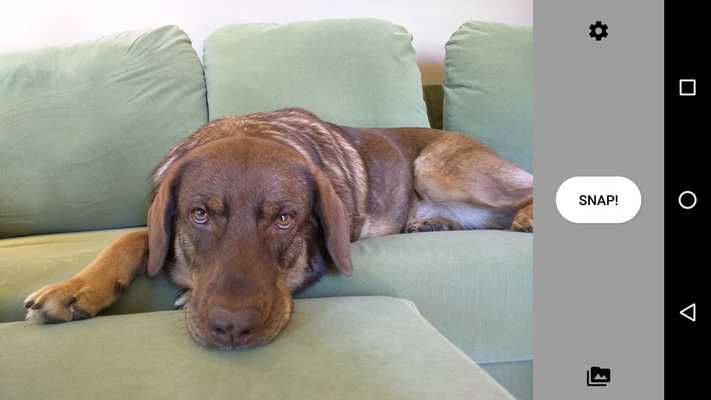 Emulate Android APK DogCam Emulate Android APK DogCam