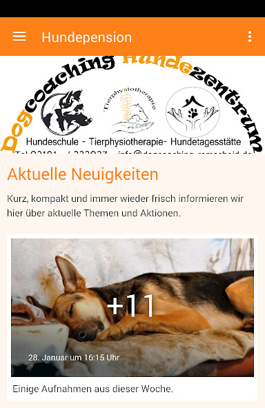 Run android online APK Dogcoaching HuTa from MyAndroid or emulate Dogcoaching HuTa using MyAndroid Run android online APK Dogcoaching HuTa from MyAndroid or emulate Dogcoaching HuTa using MyAndroid