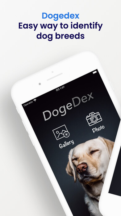 Emulate iPhone app DogeDex - dog recognizer using MyAndroid Emulate iPhone app DogeDex - dog recognizer using MyAndroid