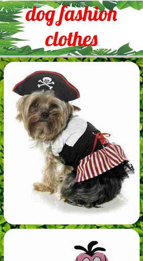 Run android online APK dog fashion clothes from MyAndroid or emulate dog fashion clothes using MyAndroid