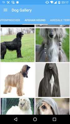 Emulate Android APK Dog Gallery