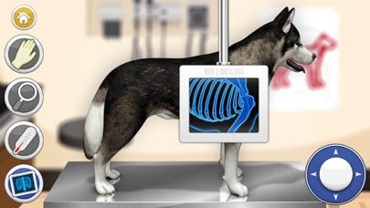 Emulate iPhone app Dog Games: Pet Vet Doctor Care using MyAndroid Emulate iPhone app Dog Games: Pet Vet Doctor Care using MyAndroid