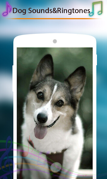Run android online APK Dog Growling Sounds and Ringto from MyAndroid or emulate Dog Growling Sounds and Ringto using MyAndroid Run android online APK Dog Growling Sounds and Ringto from MyAndroid or emulate Dog Growling Sounds and Ringto using MyAndroid
