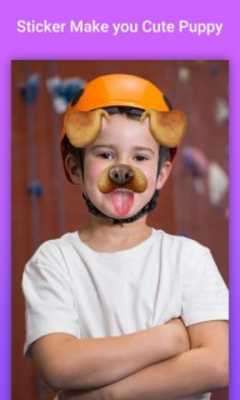 Emulate Android APK Doggy Face Swap -Face360 Filters Stickers Emulate Android APK Doggy Face Swap -Face360 Filters Stickers