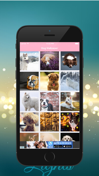 Emulate iPhone app Dog HD Wallpaper using MyAndroid Emulate iPhone app Dog HD Wallpaper using MyAndroid
