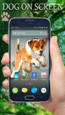 Emulate Android APK Dog In Phone Screen Prank