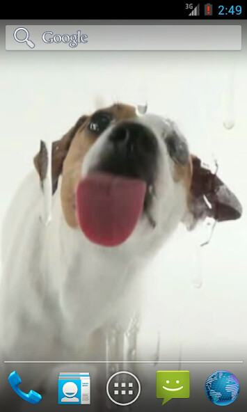 Emulate Android APK Dog Licks Screen Wallpaper Emulate Android APK Dog Licks Screen Wallpaper