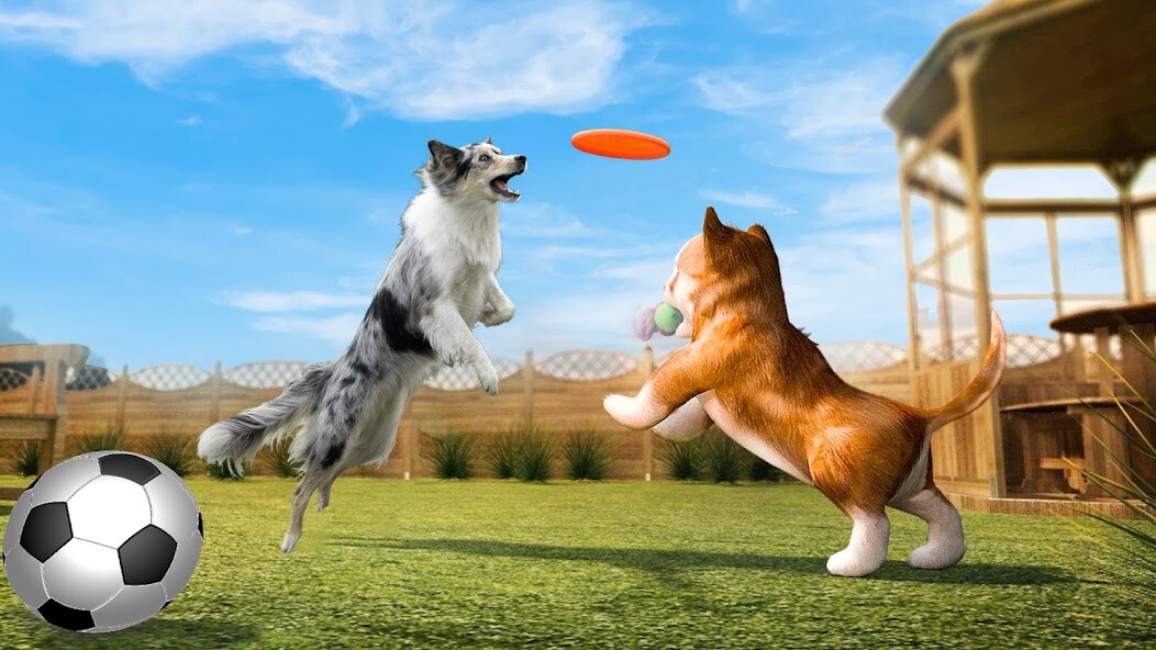 Run android online APK Dog Life Puppy Simulator Games from MyAndroid or emulate Dog Life Puppy Simulator Games using MyAndroid Run android online APK Dog Life Puppy Simulator Games from MyAndroid or emulate Dog Life Puppy Simulator Games using MyAndroid