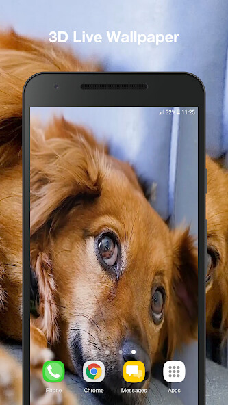 Run android online APK Dog Live Wallpaper Pro from MyAndroid or emulate Dog Live Wallpaper Pro using MyAndroid Run android online APK Dog Live Wallpaper Pro from MyAndroid or emulate Dog Live Wallpaper Pro using MyAndroid