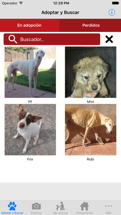 Emulate iPhone app DogLovers using MyAndroid Emulate iPhone app DogLovers using MyAndroid