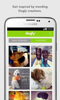 Emulate Android APK Dogly
