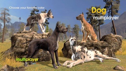 Emulate iPhone app Dog Multiplayer : Great Dane using MyAndroid Emulate iPhone app Dog Multiplayer : Great Dane using MyAndroid