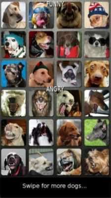 Emulate Android APK Dog n Puppy Barking Sounds