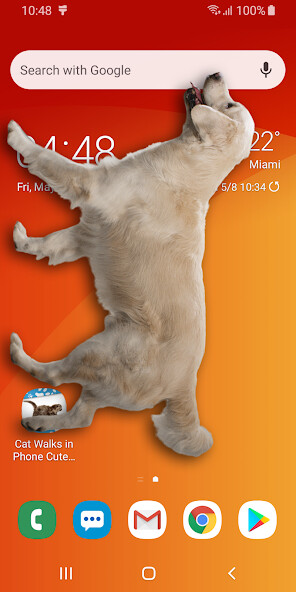 Run android online APK Dog on Screen Woof Woof Joke from MyAndroid or emulate Dog on Screen Woof Woof Joke using MyAndroid