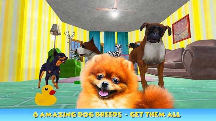 Emulate Android APK Dog Pet Care Salon