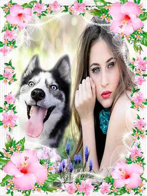 Emulate Android APK Dog Photobomb Photo Editor