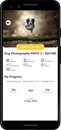 Emulate Dog Photography Masters from MyAndroid or run Dog Photography Masters using MyAndroid