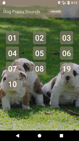 Run android online APK Dog Puppy Sounds from MyAndroid or emulate Dog Puppy Sounds using MyAndroid Run android online APK Dog Puppy Sounds from MyAndroid or emulate Dog Puppy Sounds using MyAndroid