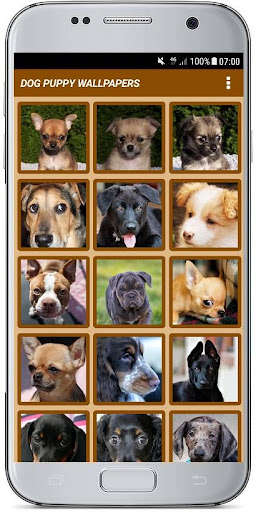 Run android online APK DOG PUPPY WALLPAPERS from MyAndroid or emulate DOG PUPPY WALLPAPERS using MyAndroid Run android online APK DOG PUPPY WALLPAPERS from MyAndroid or emulate DOG PUPPY WALLPAPERS using MyAndroid
