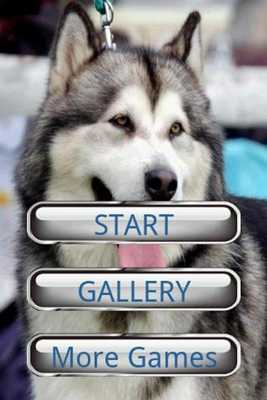 Emulate Android APK Dog Puzzle: Alaskan Malamute