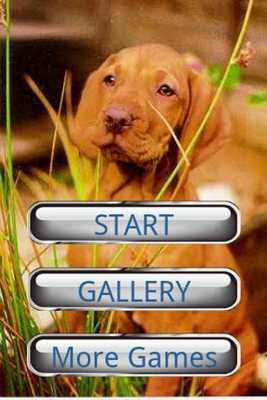 Emulate Android APK Dog Puzzle: Vizsla Emulate Android APK Dog Puzzle: Vizsla