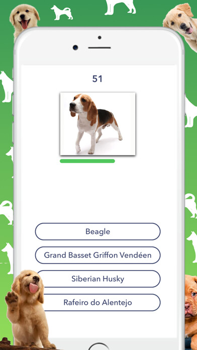 Emulate iPhone app Dog Quiz - Which dog is that? using MyAndroid Emulate iPhone app Dog Quiz - Which dog is that? using MyAndroid