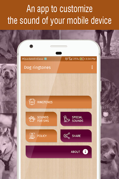 Run android online APK dog ringtones for phone sounds from MyAndroid or emulate dog ringtones for phone sounds using MyAndroid
