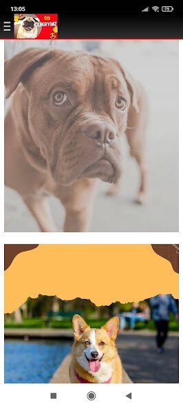 Run android online APK dogrymz from MyAndroid or emulate dogrymz using MyAndroid Run android online APK dogrymz from MyAndroid or emulate dogrymz using MyAndroid