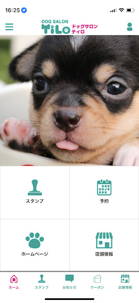 Run android online APK DOG SALON TiLo 公式アプリ from MyAndroid or emulate DOG SALON TiLo 公式アプリ using MyAndroid Run android online APK DOG SALON TiLo 公式アプリ from MyAndroid or emulate DOG SALON TiLo 公式アプリ using MyAndroid