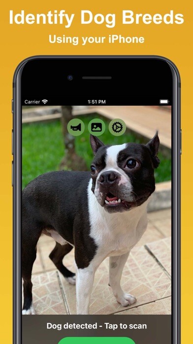 Emulate iPhone app Dog Scan - Breed Identifier using MyAndroid Emulate iPhone app Dog Scan - Breed Identifier using MyAndroid